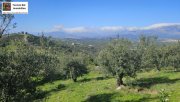 Kouses Baugrundstück in Kouses, Kreta Grundstück kaufen